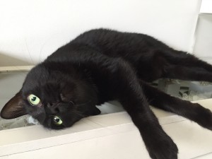 こんどは??いつ??