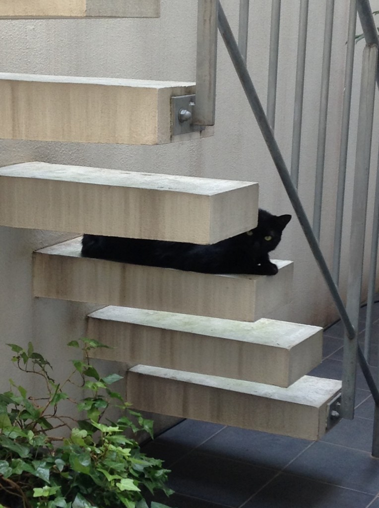 なが～い！！