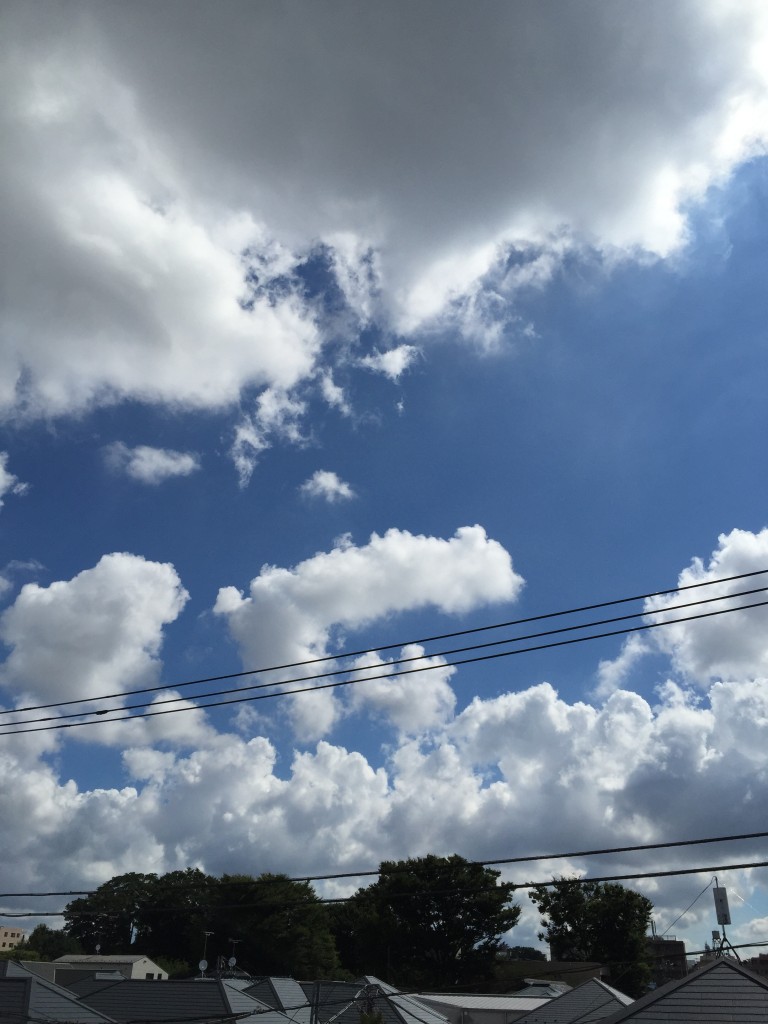 夏だZ！