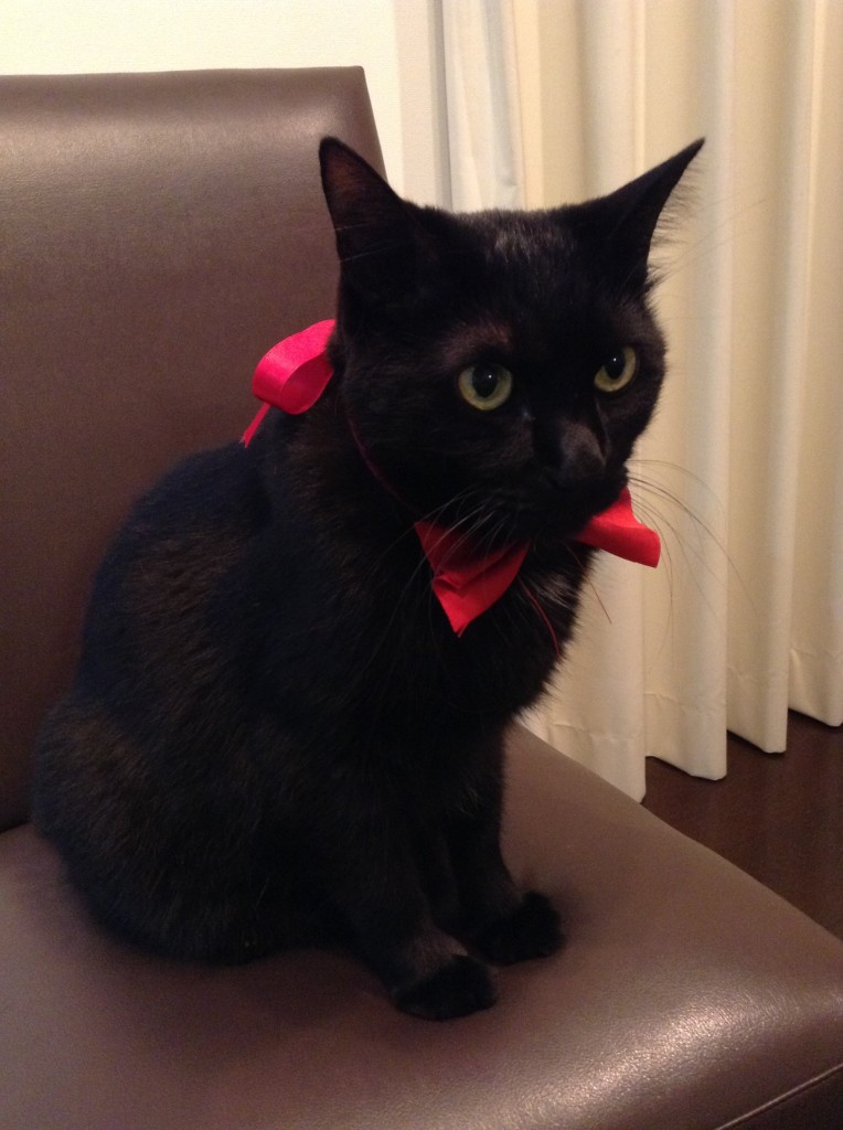 まねきねこ？？