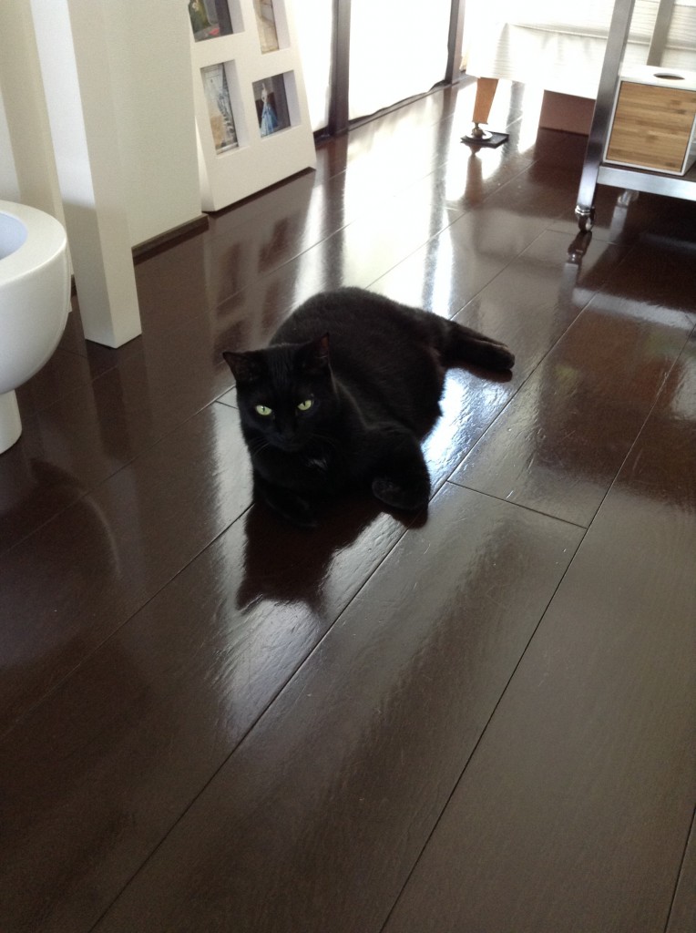 メツキガワルイ。
