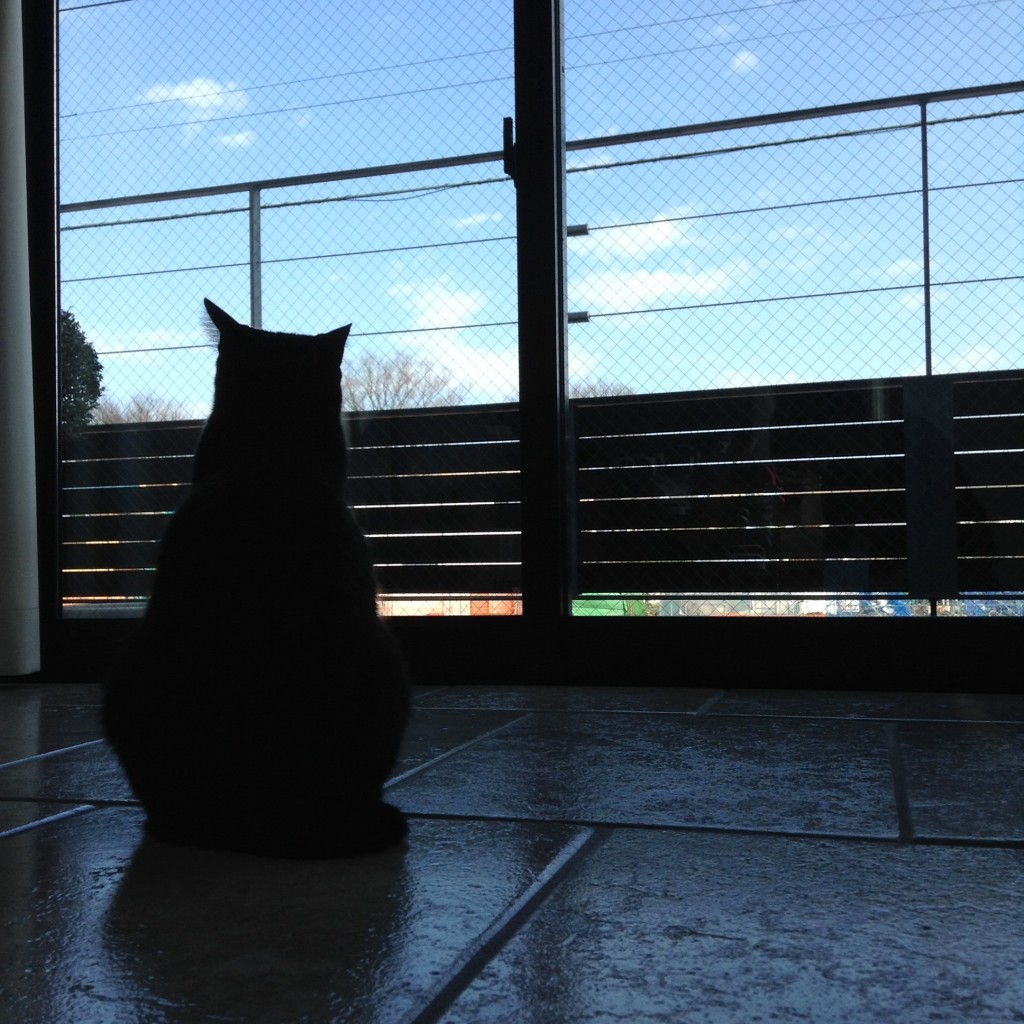 空を仰ぐ。