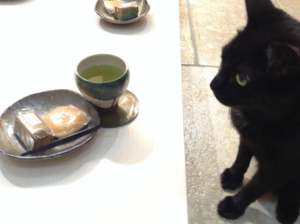 粗茶でございます。