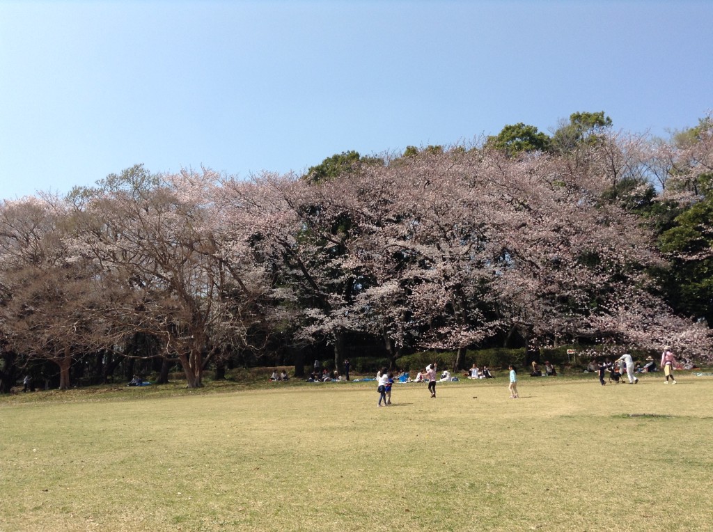 パノラマ♪