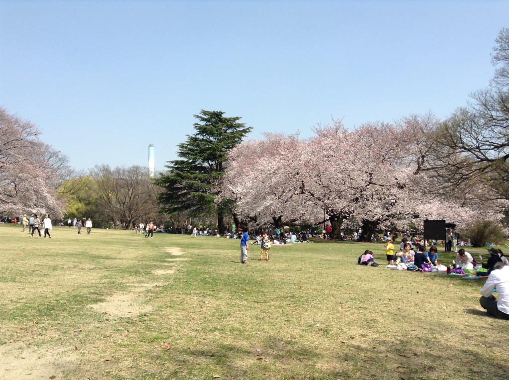 今年も来ました♪
