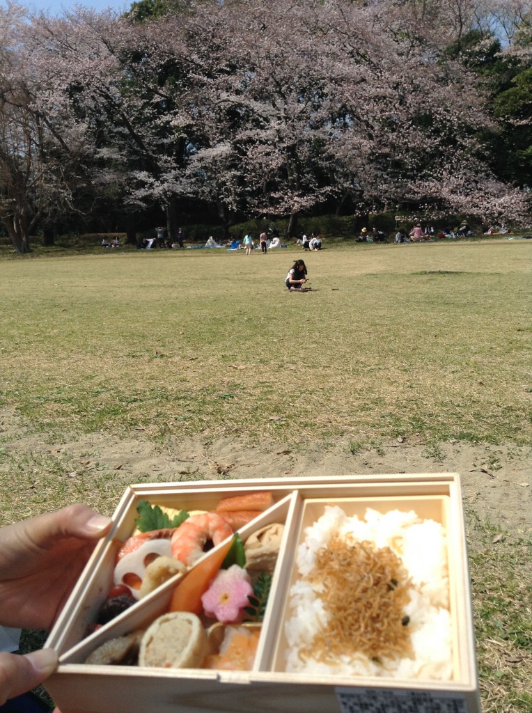 恒例　菊乃井さんのお弁当♪