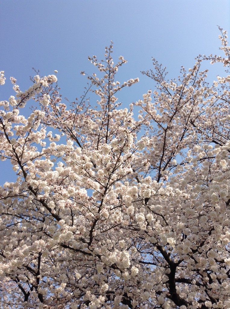 ぽこぽこ可愛い♪