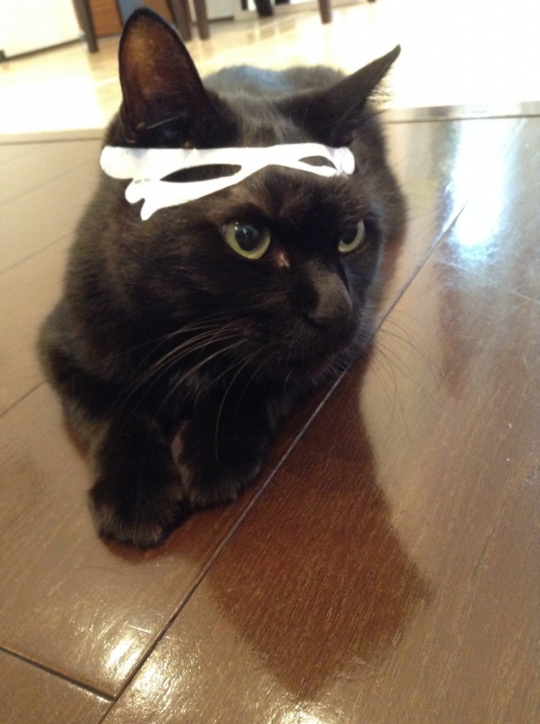 ずり上がるデカメロン？？